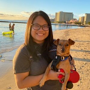 Meet your Posher, Frenchie